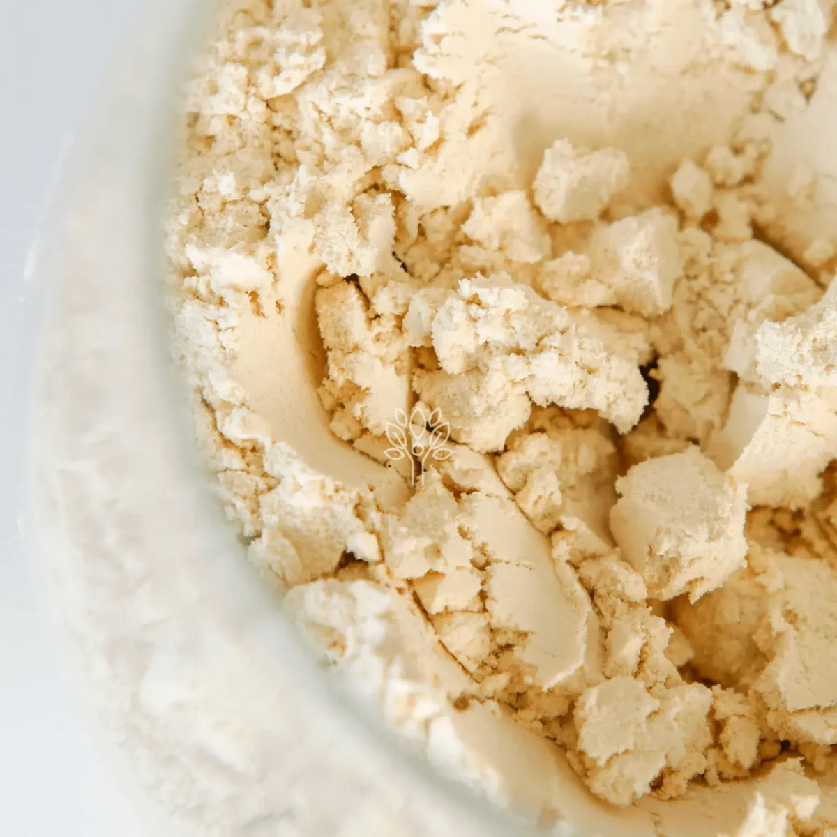 Pure Pea Protein Powder (75% Plant Isolate) - Image 2