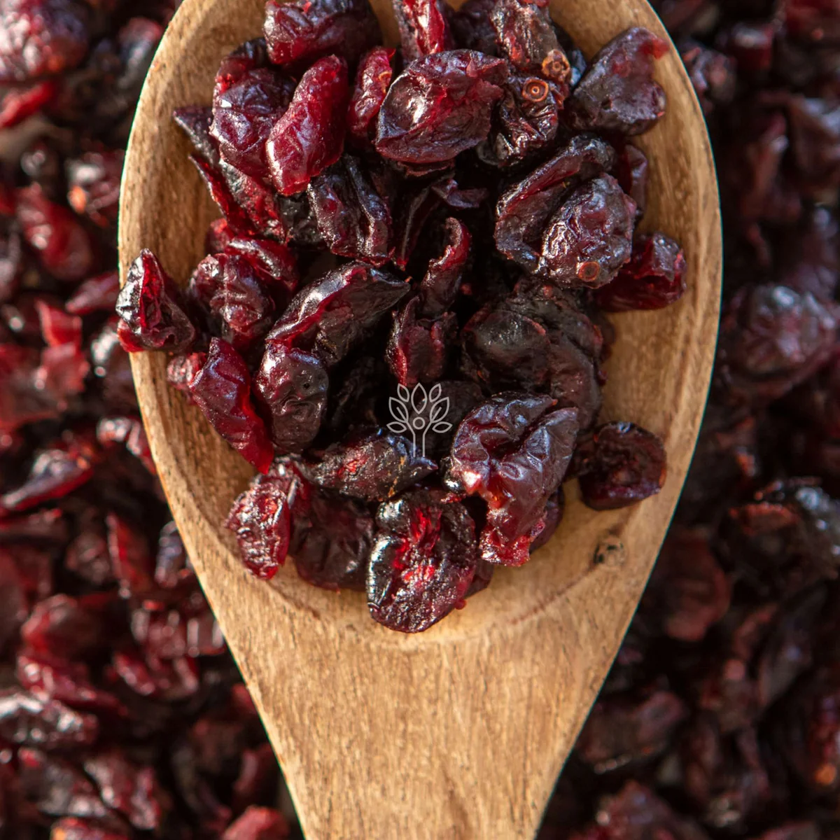 dried cranberries 500g