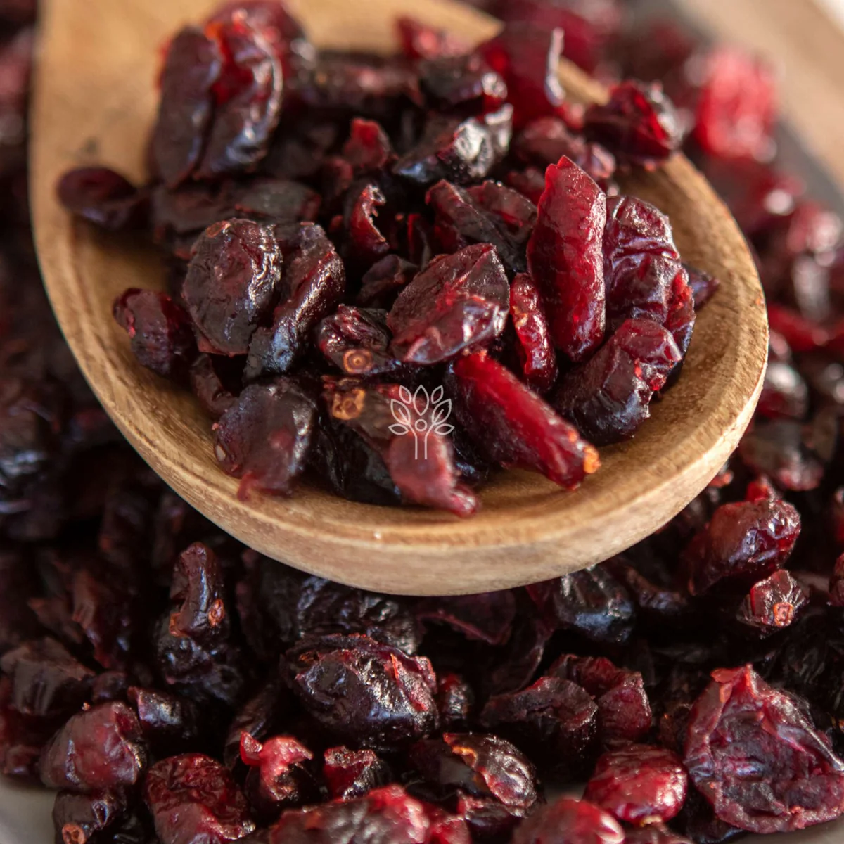 Premium Dried Cranberries | #1 Sweet & Tart Fruit - Image 2