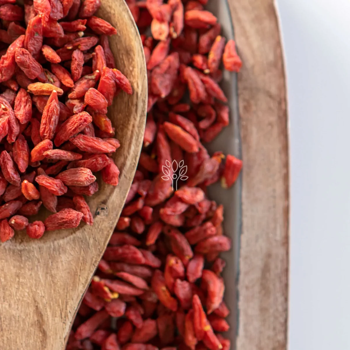 dried goji berries